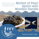 MOTHER OF PEARL SPOON WITH WOODEN HANDLE (NEW!)