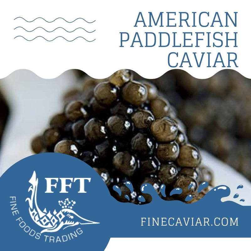 AMERICAN PADDLEFISH CAVIAR (CASPIAN STYLE)