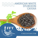 AMERICAN WHITE STURGEON 20% OFF