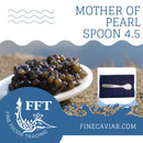 MOTHER OF PEARL SPOON 4.5