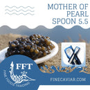 MOTHER OF PEARL SPOON 5.5