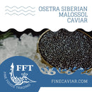 OSETRA SIBERIAN MALOSSOL