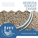 SEVRUGA STERLET CAVIAR
