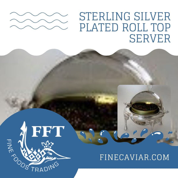 STERLING SILVER PLATED ROLL TOP SERVER